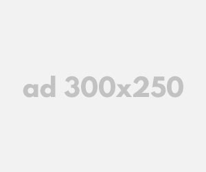 ad_300x250_v02