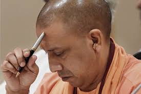 yogi